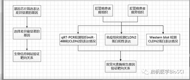 生物醫(yī)學(xué)實(shí)驗(yàn)方案設(shè)計(jì)大全，讓你課題脫穎而出（生物實(shí)驗(yàn)設(shè)計(jì)專題）