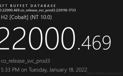 Windows 11 Build 22000.469發(fā)布：可在設(shè)置中管理微軟賬號（windows 11 build 22449）