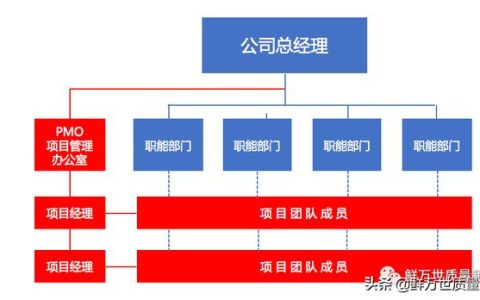 采用矩陣式項目開發(fā)模式，是否還需要建立PMO項目管理辦公室？（項目管理辦公室pmo實踐指南）