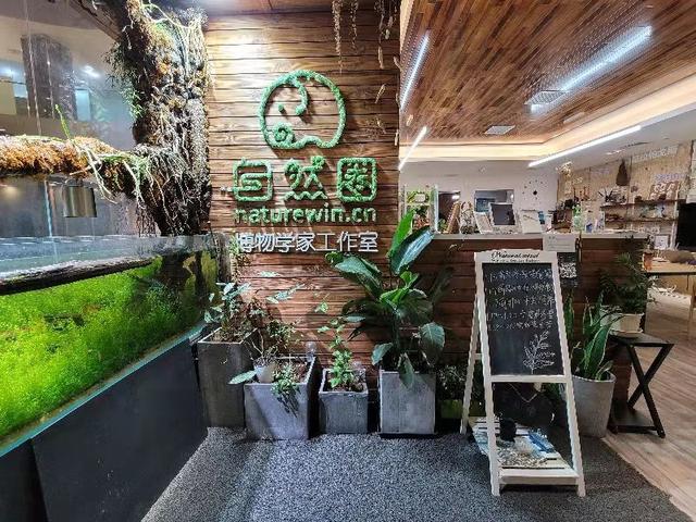 門店管理APP，讓門店實現(xiàn)“輕管理，重高效”（門店管理APP）