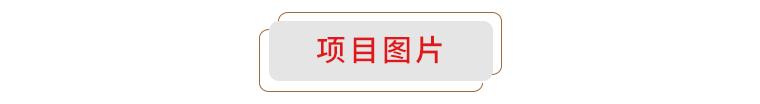 廣西華錫集團(tuán)股份有限公司15220萬股股份(占總股本的9.581%)（廣西華錫集團(tuán)股份有限公司上市）